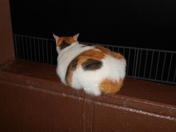 10月7日（49）仮