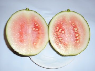 DSCN5130
