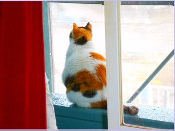 3月21日　7-50-1使用