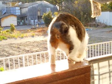 12月29日（48）仮