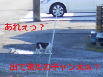 2月24日(2)仮