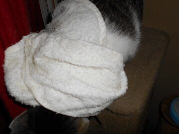 9月24日（5-15）仮