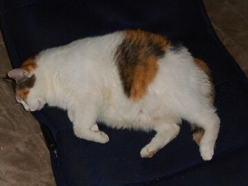 9月21日（16-6）仮