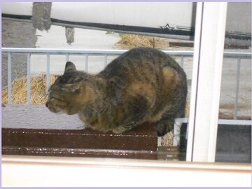 5月28日（40）仮