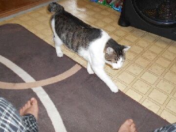 10月7日（11）仮