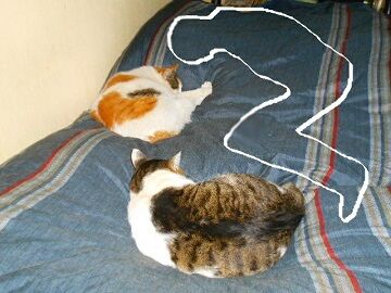 1月21日（9） (2)仮