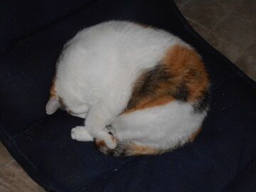 9月23日（5-8）仮