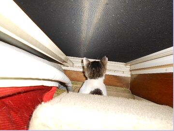 6月26日（22）仮