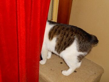 12月20日（26）仮