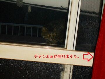 6月25日（44）仮