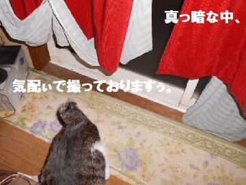 10月12日（0-7）仮