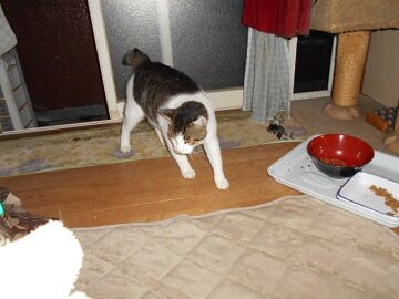 9月27日（18-17）仮