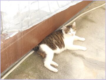 9月26日（40）仮