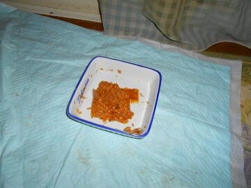 12月31日（54）仮