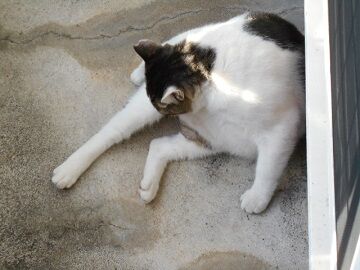 9月22日（6-10）仮