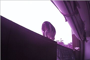 12月30日(20.65)仮