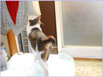 6月20日（24）仮