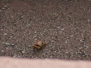 7月23日（13）仮