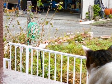 10月18日（13）仮