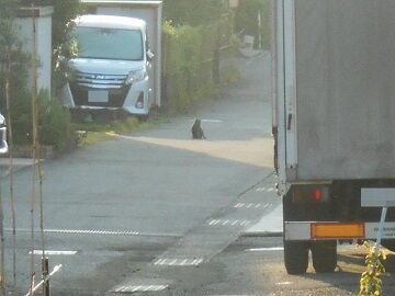 8月24日（21）仮