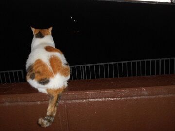 9月20日（2-3）仮