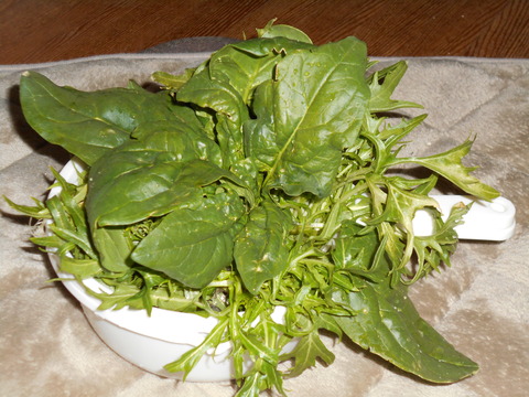 DSCN0058