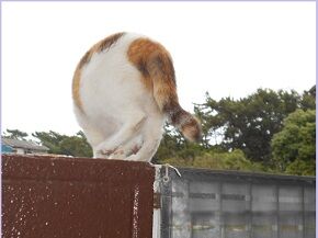 7月22日（23）仮