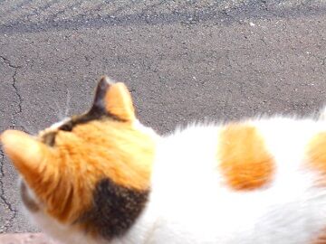 12月24日（16）仮