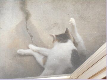 7月19日（27）仮