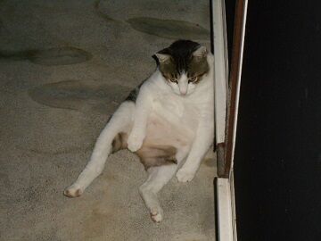 9月14日（5-7）仮