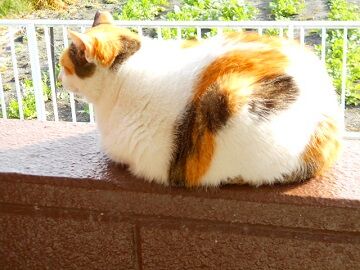 12月24日（21）仮