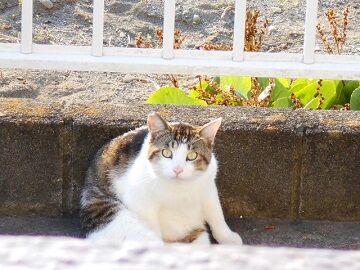 5月12日（20）仮