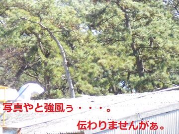 3月16日（37）仮