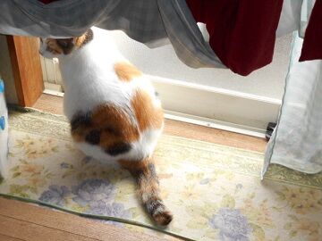 9月29日（10-5）仮