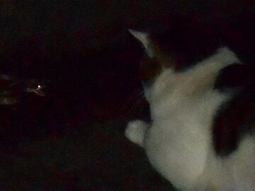 6月22日（22）仮