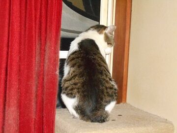 6月21日（42）仮