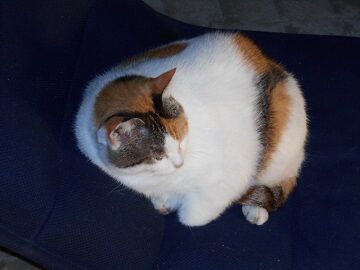 10月2日（6-4）仮