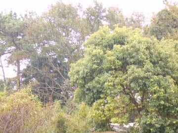 10月14日（15）仮