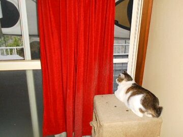 5月28日（36）仮