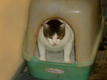 9月13日（5-8）仮