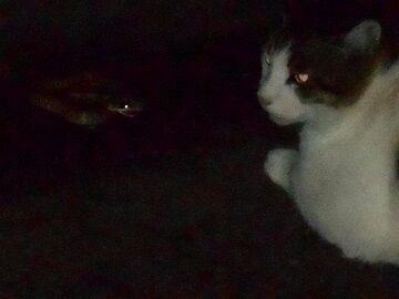 6月22日（25）仮