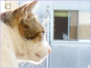 6月18日（12）仮