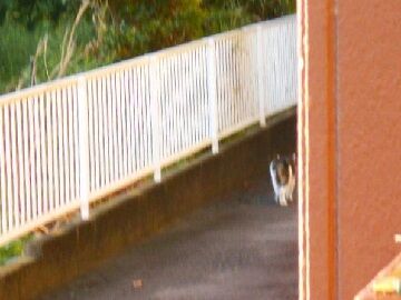 10月23日（44）仮