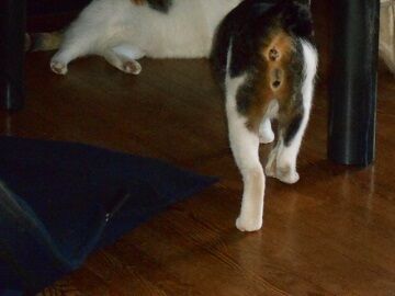 9月30日（58）仮