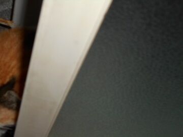 10月5日（44）仮