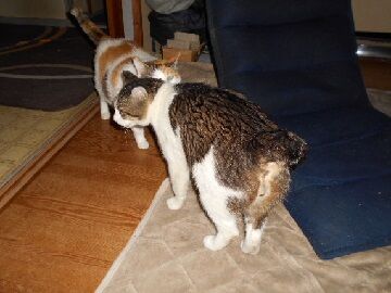 6月25日（11）仮