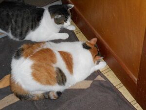 8月23日（64）仮