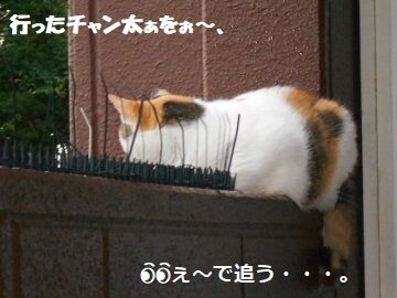 9月20日（6-1）仮