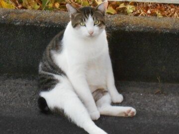 9月30日（30）仮