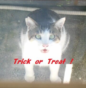 ネタが無いときゃ、fakeで。 (6)